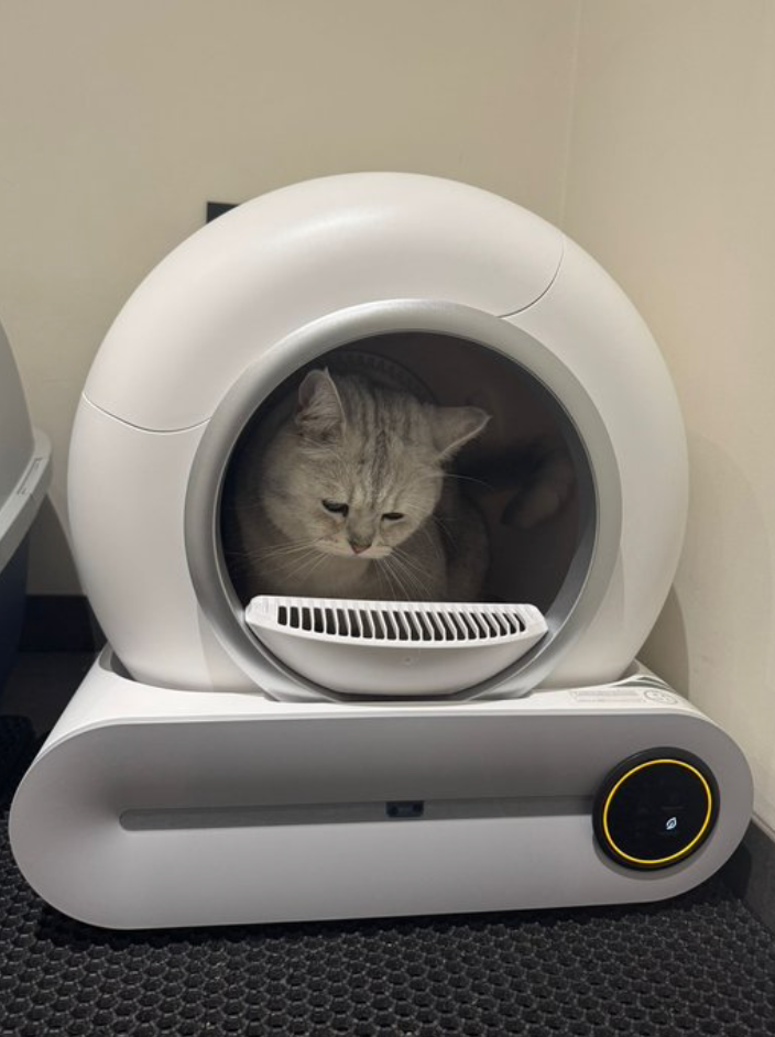 Slimme Automatische Kattenbak – Zelfreinigend & Geurvrij 🐱🚀