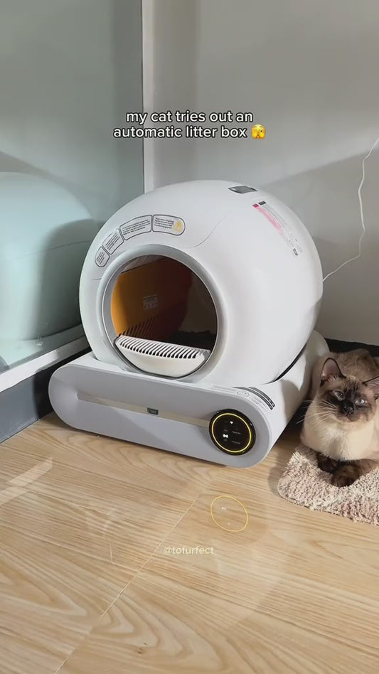 Slimme Automatische Kattenbak – Zelfreinigend & Geurvrij 🐱🚀